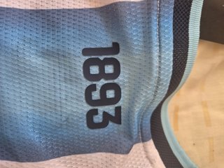 ​Camiseta Argentina Messi L/xL player (envios)