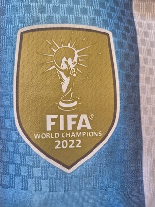 ​Camiseta Argentina Messi L/xL player (envios)
