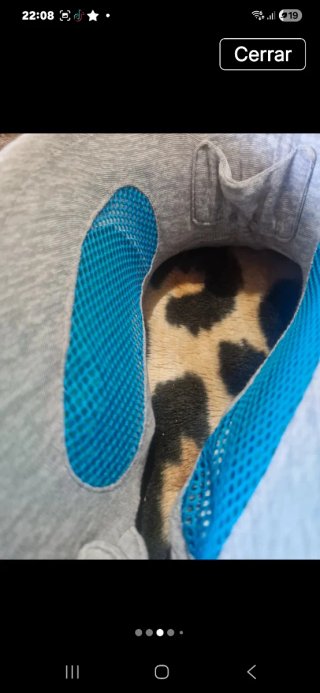 Almohada de viaje para cuello