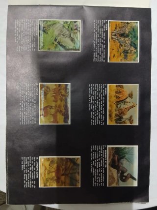 Álbum Panrico 3 Dimensiones Animales Salvajes