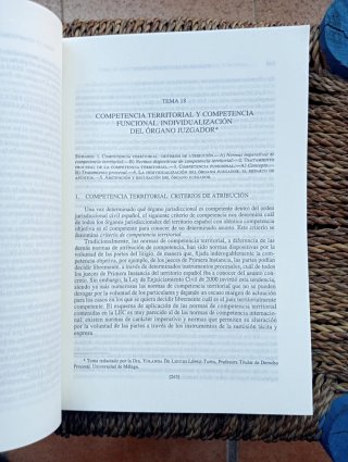 Conceptos de derecho procesal civil