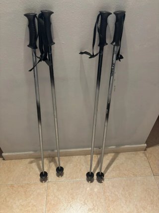 Palos de esquí