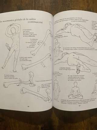 Libro Anatomía para el Movimiento