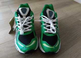 Zapatilla verdes y negras