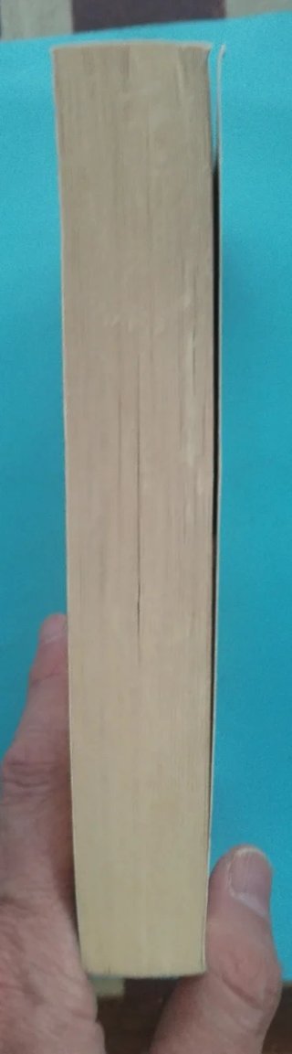 Libro en Ingles "A Thousand Splendid Suns"