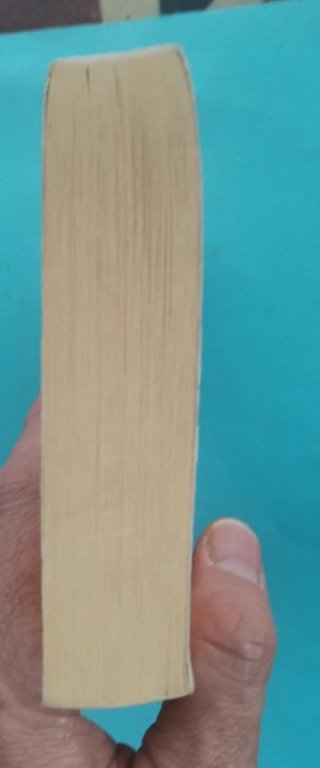 Libro en Ingles "A Thousand Splendid Suns"