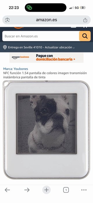 Llavero NFC con pantalla personalizable