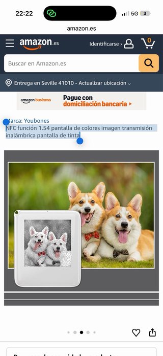 Llavero NFC con pantalla personalizable
