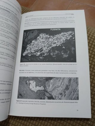 Ciencia del carbón Geología, química, petrograf...