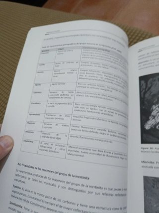 Ciencia del carbón Geología, química, petrograf...