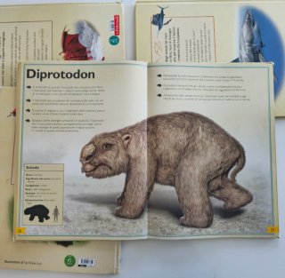 libri "Il Magnifico Libro" Touring Club bambini 6+