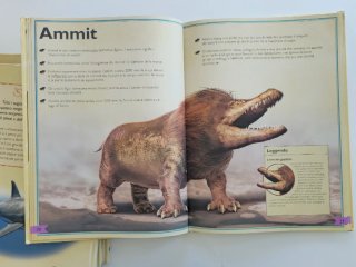 libri "Il Magnifico Libro" Touring Club bambini 6+