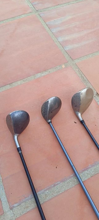 Bolsa y palos de golf
