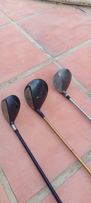 Bolsa y palos de golf