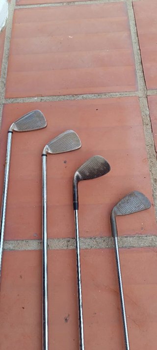 Bolsa y palos de golf