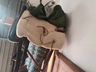 Montura de caballo vaquera