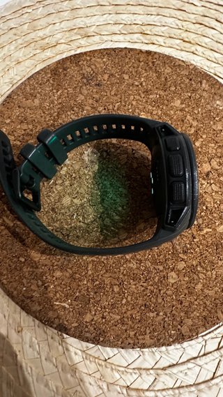 Garmin Instinct