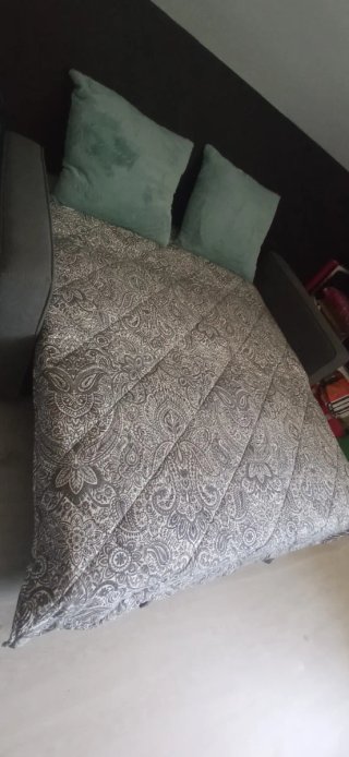 Sofá Cama 2 Plazas Gris