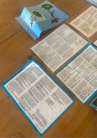 Lote Instrucciones y Catálogos Playmobil