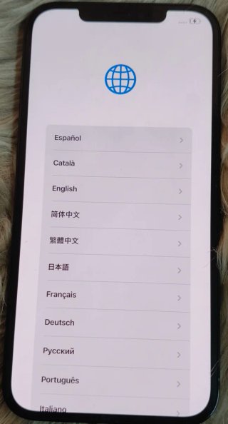 iPhone 12 Pro Max 256GB Blu