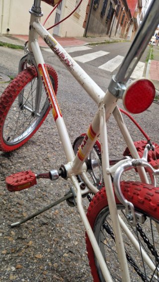 Bicicleta Torrot Colorado