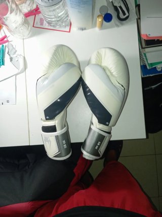 Guantes Venum Elite Evo 16 oz