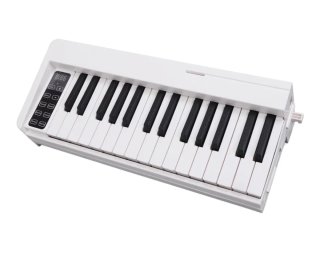 Tastiere elettroniche portatili a 61 tasti