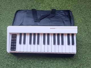 Tastiere elettroniche portatili a 61 tasti