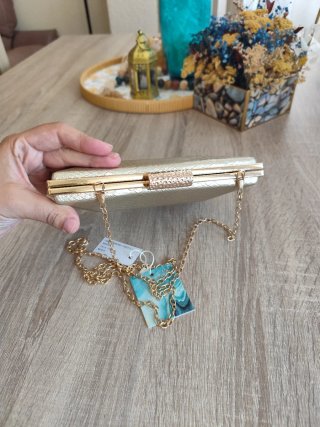 Bolso dorado piel serpiente