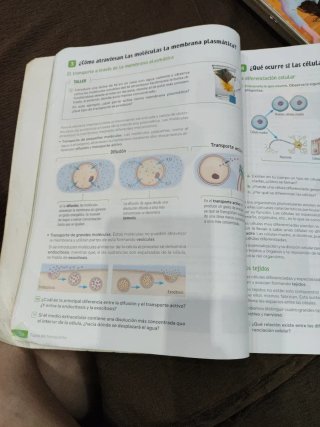 Biología y Geología. 3 Secundaria. Revuela. Pri...