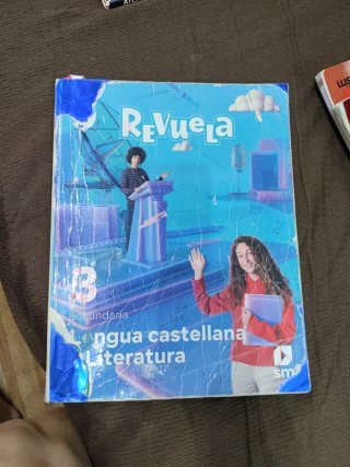 Lengua castellana y literatura