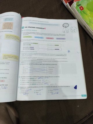 Lengua castellana y literatura
