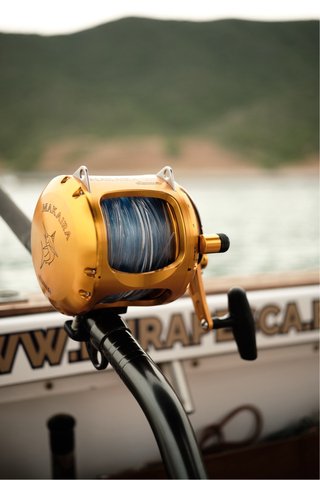 Okuma Makaira 130lb + Shimano Tyrnos 130lb