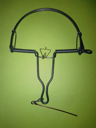 Pieza de colección de alambre