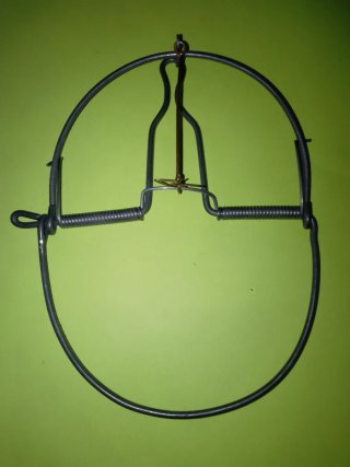Pieza de colección de alambre