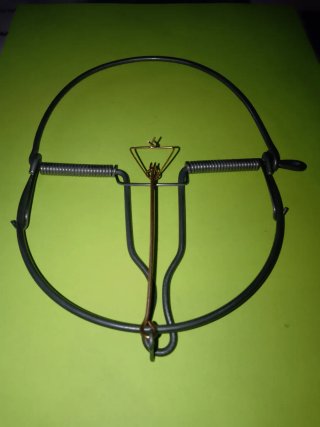 Pieza de colección de alambre