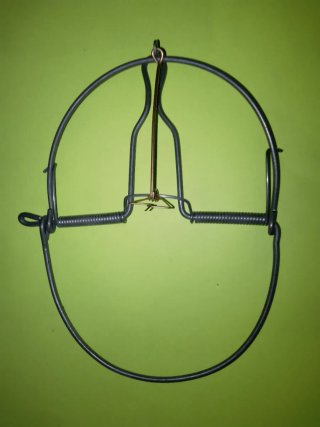 Pieza de colección de alambre