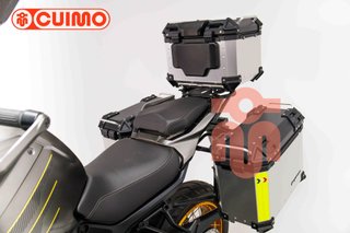 QJ MOTOR SRT 900 SX
