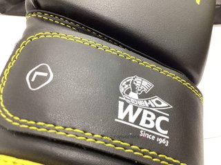 guantes  brooklyn fitboxing wbc