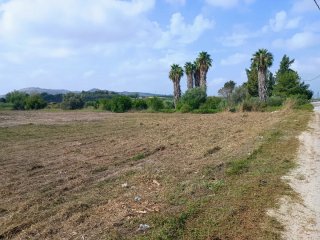 Servicios agricolas