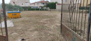 Servicios agricolas