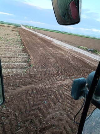 Servicios agricolas