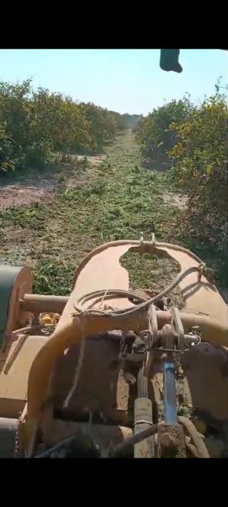 Servicios agricolas