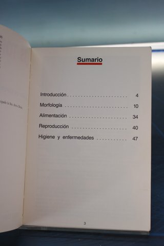 Las Tortugas. Variedades, alimentación, cuidados.