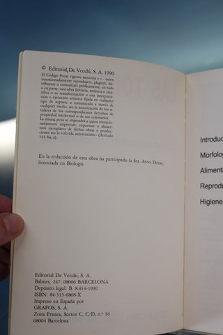 Las Tortugas. Variedades, alimentación, cuidados.