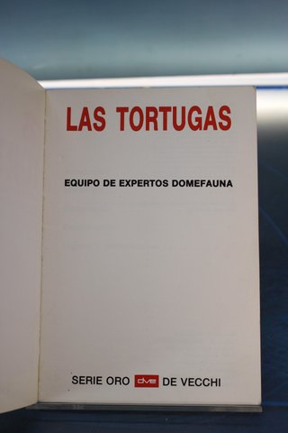Las Tortugas. Variedades, alimentación, cuidados.