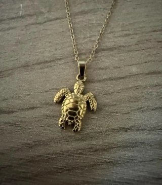 Collar con colgante de tortuga