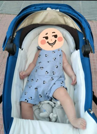 Cybex Priam Mountain Blue