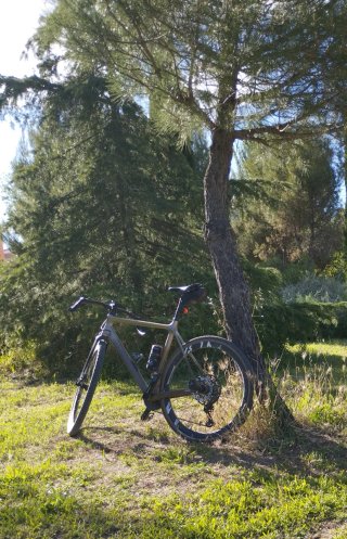 Bicicleta Van Rysel EDR CX Gravel / carretera