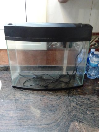 Pecera de cristal para espacios pequeños